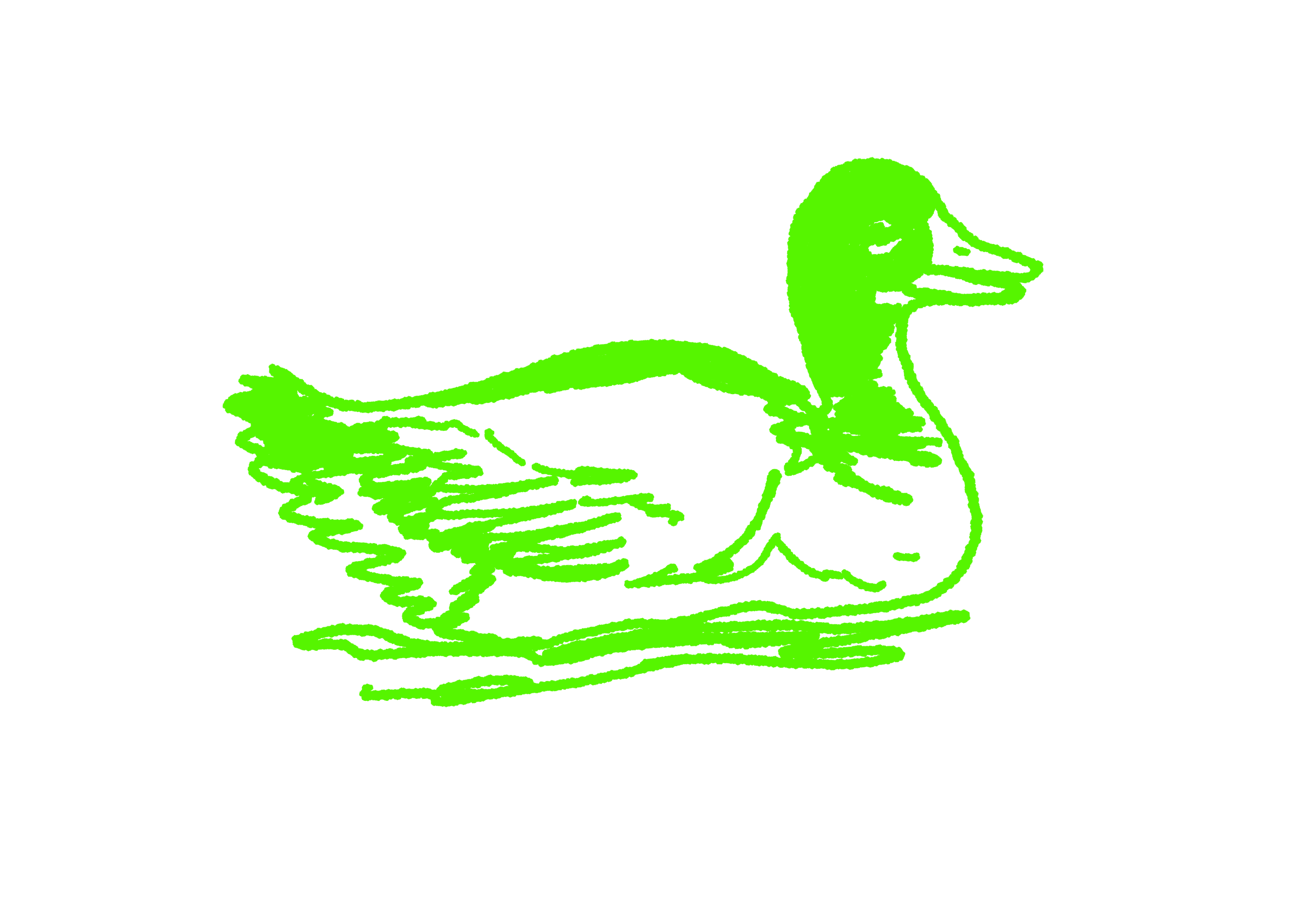 duck 3